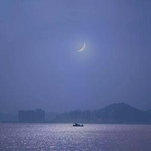 永久免费看A片无码网站十九
