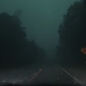 永久免费看A片无码网站十九
